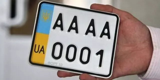 Как восстановить повреждение дерева дятел