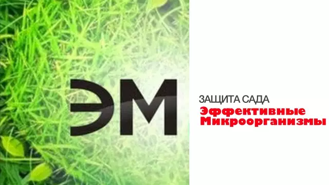 Как добираться до сада без тиллера