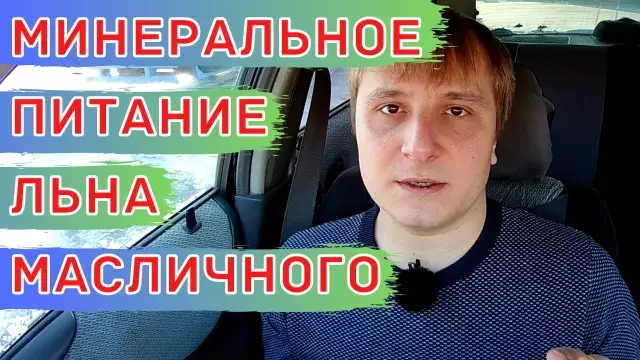 Как использовать минеральные спирты для удаления сушеных затирок на плитки