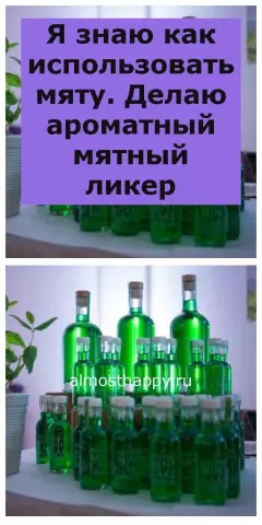 Как использовать мяту перечной, чтобы избавиться от блох