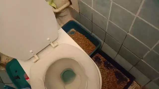 Мой туалет хранит звуки