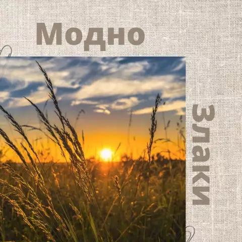 Поверните орхидею, купленную в обычном магазине, в эффектную композицию