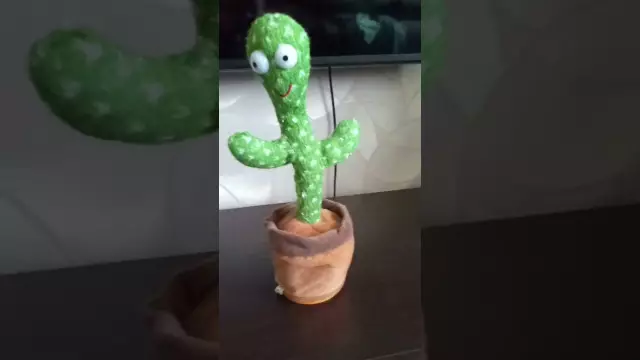 Что вызывает кактус?