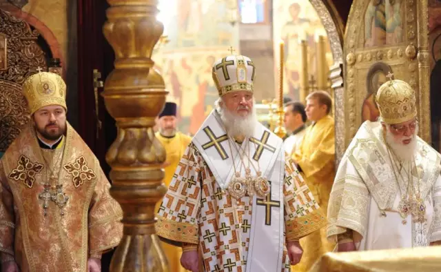Что означают цвета тюльпанов?