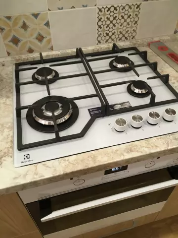 Что такое галогенная варочная панель?
