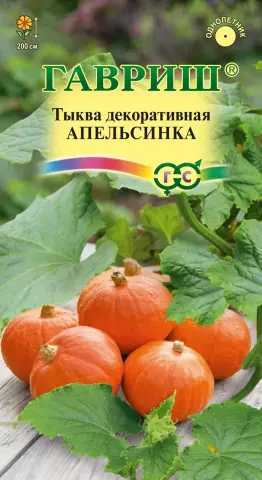 Когда посадить семена тыквы
