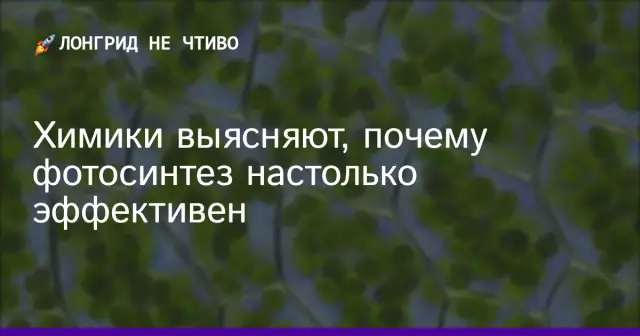 Почему фотосинтез важен для людей?