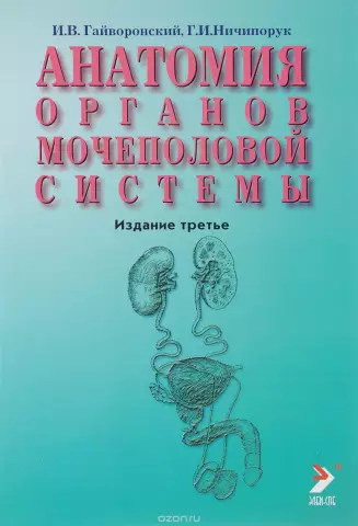 Анатомия гороха
