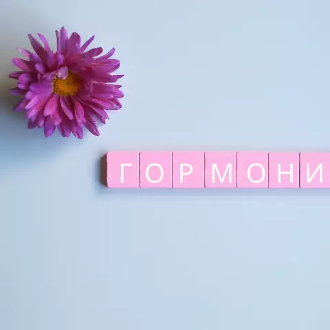 Факты о пихте бальзама
