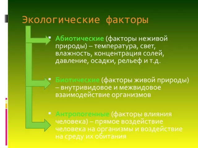 Биотические факторы в пустынях