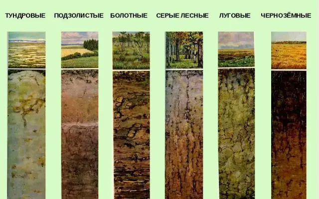 Разница между органической и неорганической почвой