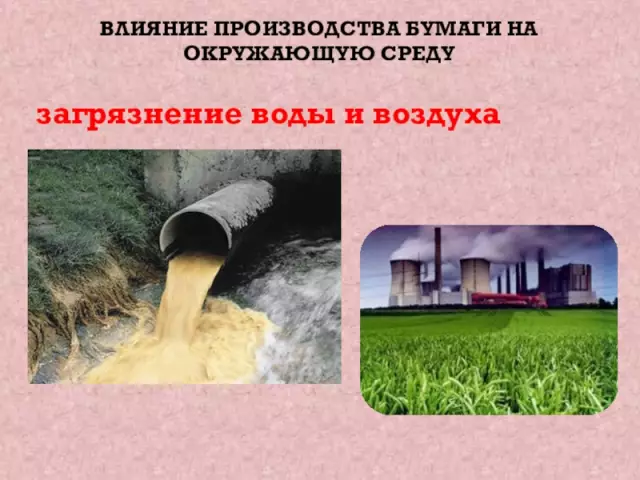 Влияние воды на различные типы древесины