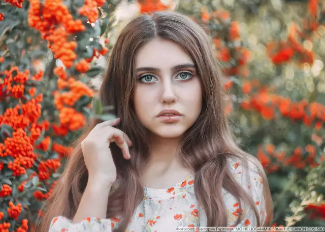 Примеры травяных растений