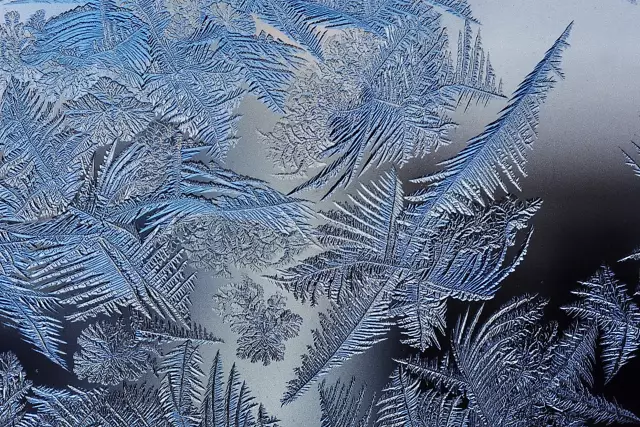 Frost Proof Vs. Морозостойкие фарфоровые плитки