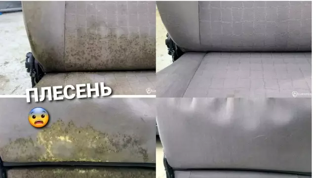 Как очистить плесень плесени