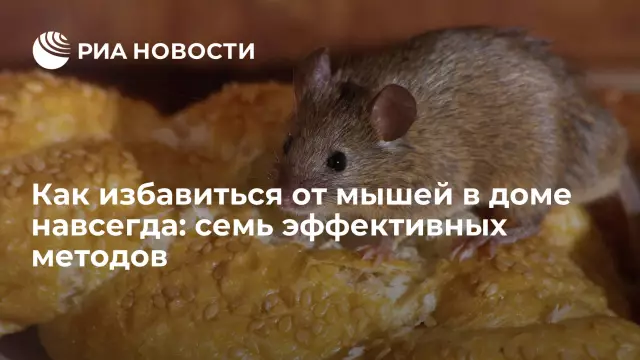 Как избавиться от многоножек дома
