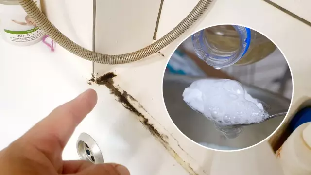 Как избавиться от плесени на потолочных потолках
