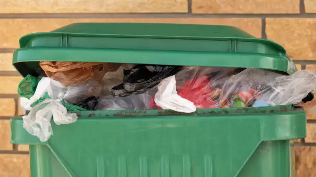 Как избавиться от енотов из-под палубы