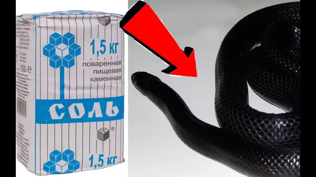 Как избавиться от водных змей