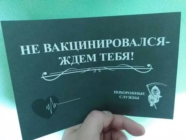 Как сохранить птицу в почтовых ящиках