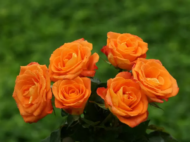 Как измерить зонт для патио