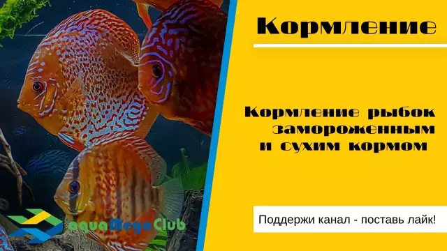 Как гладить сухим конопачением