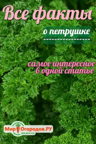 Является ли Purslane ежегодным или многолетним?