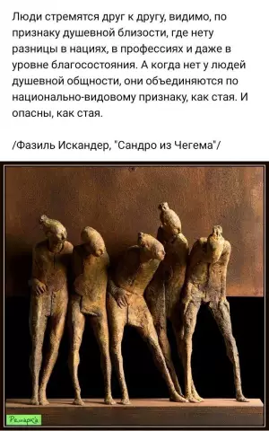 Вредные предметы, чтобы избавиться от енотов