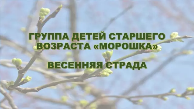 Весенняя безопасность