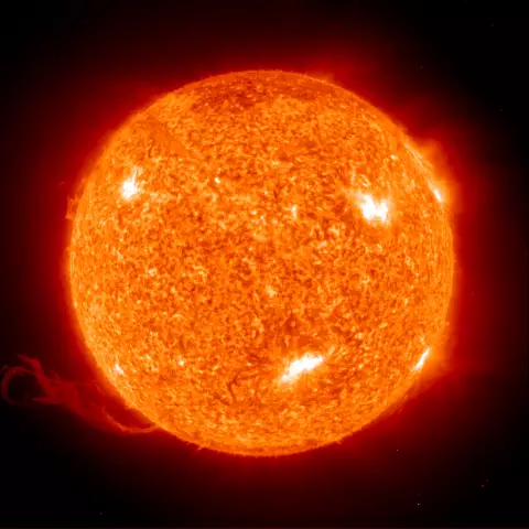 Sun Vs. Теневые листья