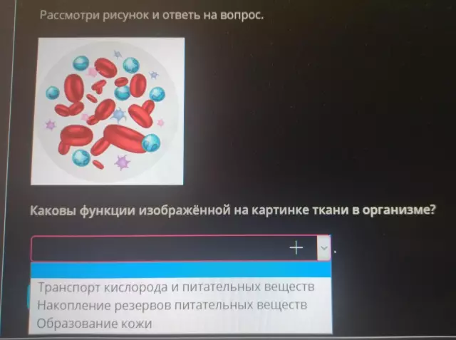 Каковы функции блендеров?