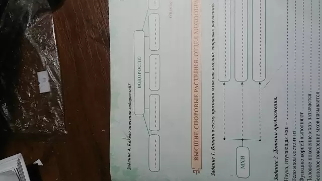 Каково значение клематиса?