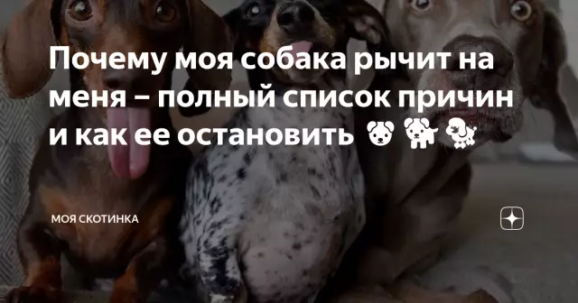 Почему моя обратная осмотическая система Gurgle?
