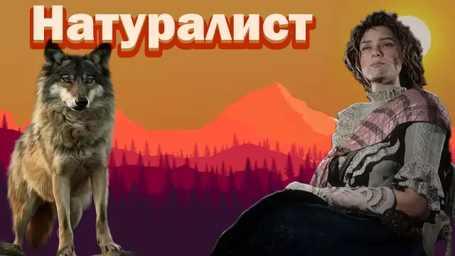 Преимущества 240V свыше 120