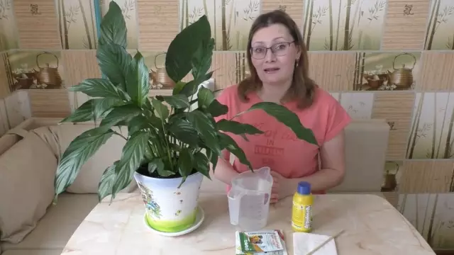 Ошибки едят листья моих шалфейных растений