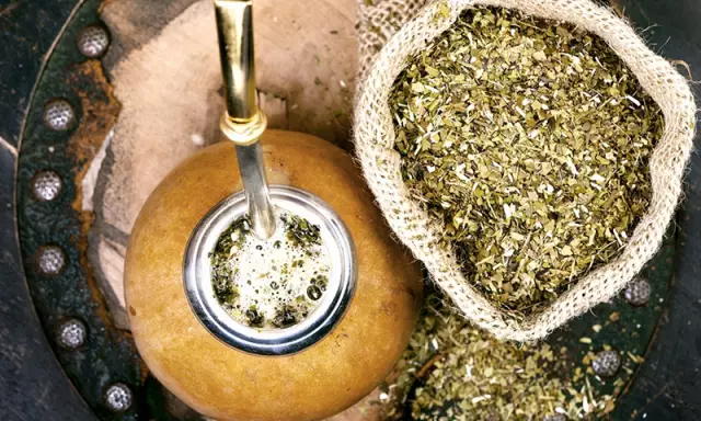 Могу ли я вырастить свой собственный Yerba Mate?