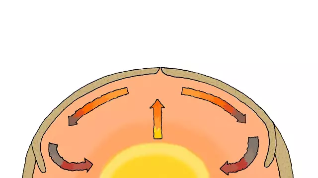 Разница между Solo & Convection Microwave