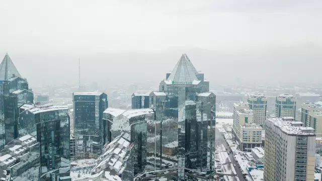 Разрабатывают ли ананасы на деревьях или на земле?