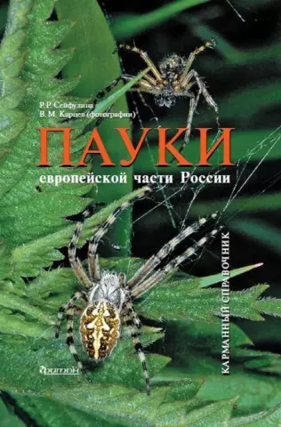 Пауки идут на кровати?