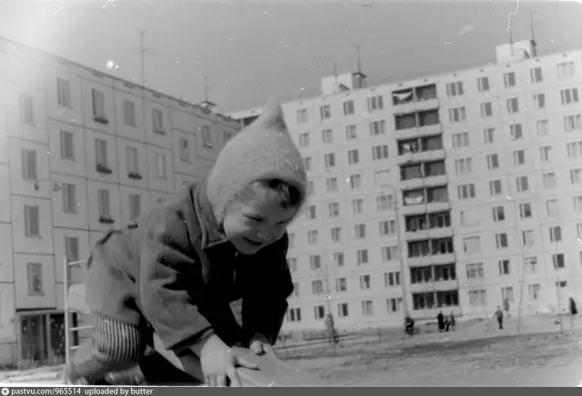 Собачьи деревья во Флориде