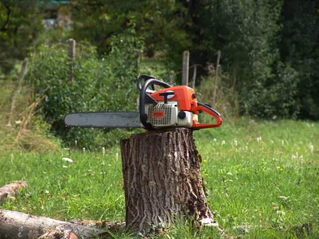 Размер файла для Stihl Chainsaw