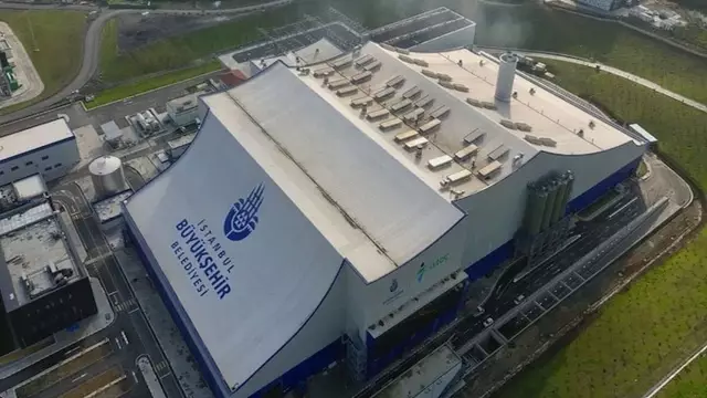 Как завод превращает легкую энергию в химическую энергию?