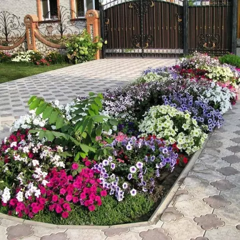 Как создать красивый скальный фронт
