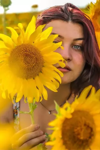 Как поднять подсолнухи