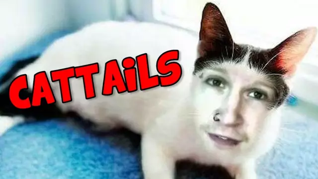 Как выкопать Cattails