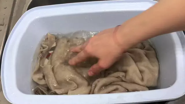 Как получить запах плесени из сушки
