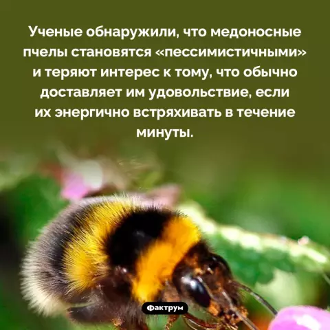 Как заставить роликовый валик оставаться на ручке