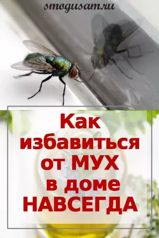 Как избавиться от свечных мух в доме