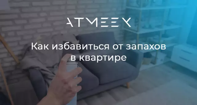 Как избавиться от мужественных запахов в доме