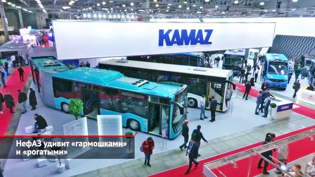 Как идентифицировать гусеницу с зелеными рогатыми задницами